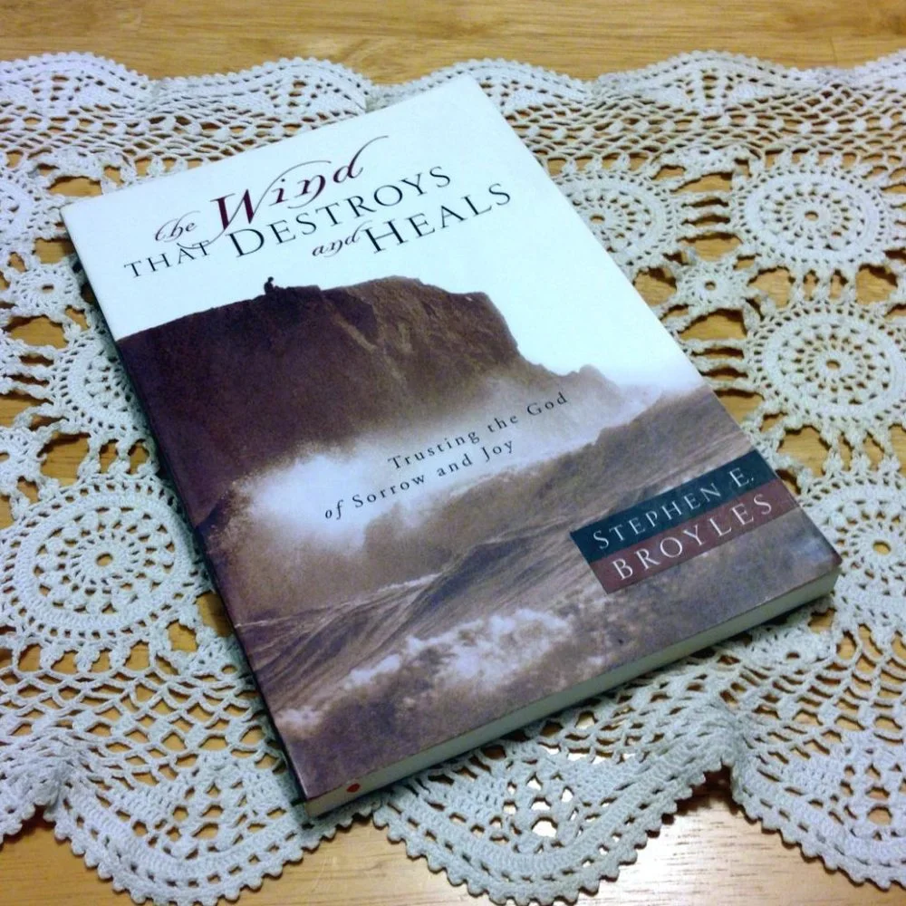 Book Sale! 3 for $10! Christian Faith Tested -  The wind that destroys and heals